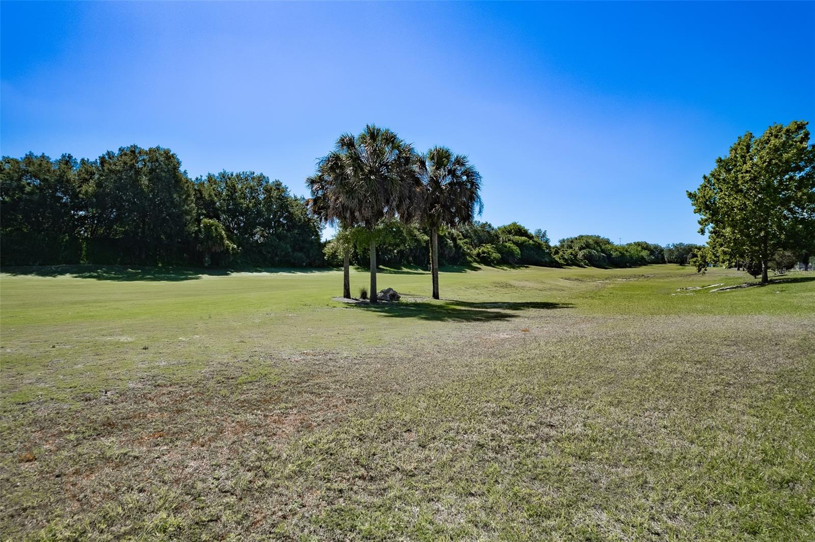 15143 SW 14TH AVENUE RD, OCALA, FL, 34473