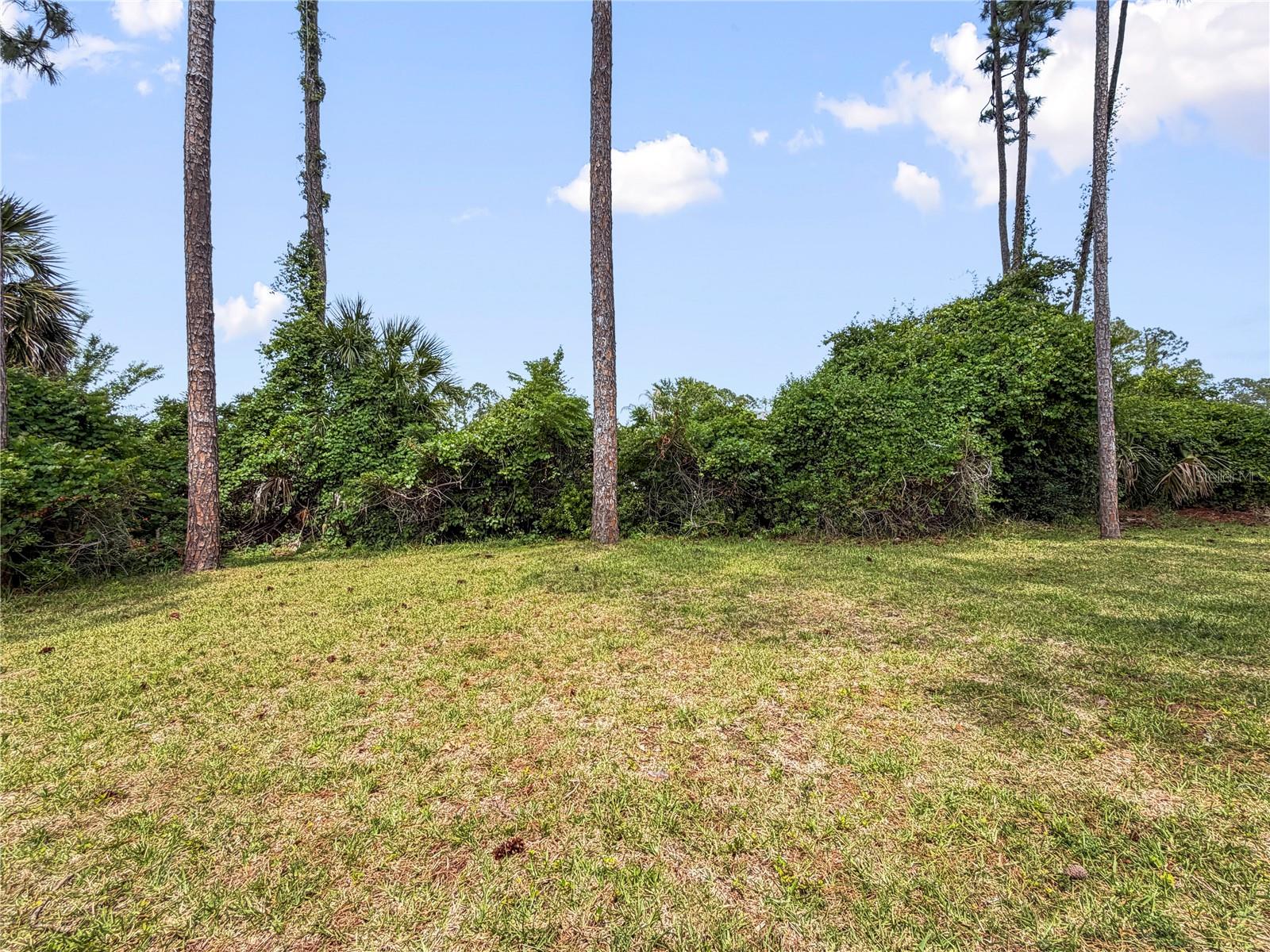 PALM COAST NORTHWEST QUADRANT, PALM COAST, FL, 32137