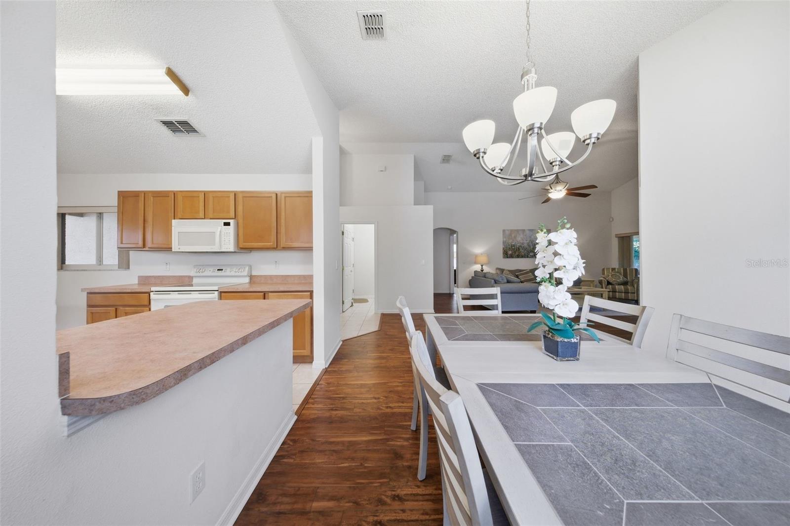 4084 CAPLAND AVE, CLERMONT, FL, 34711