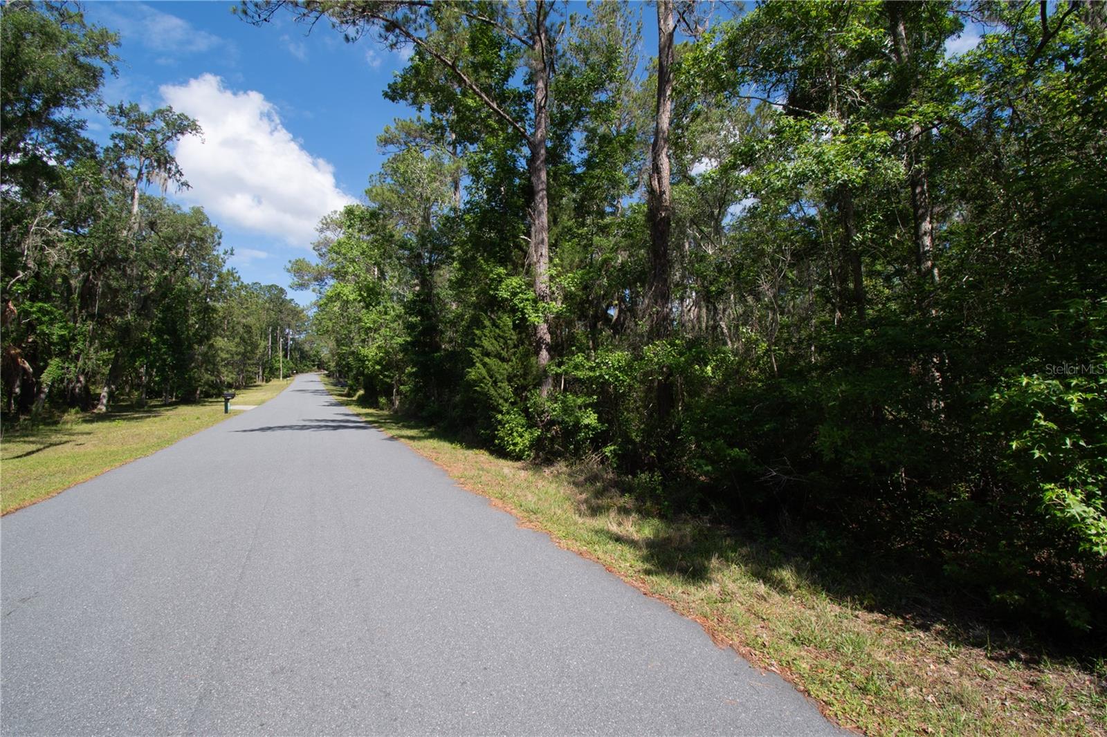 SKYVIEW CIR, BROOKSVILLE, FL, 34602