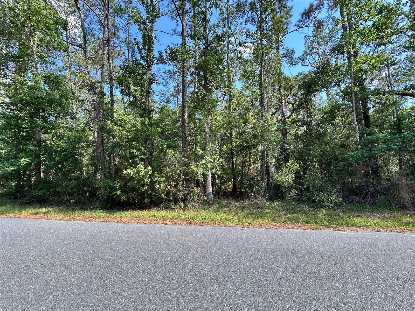 SKYVIEW CIR, BROOKSVILLE, FL, 34602