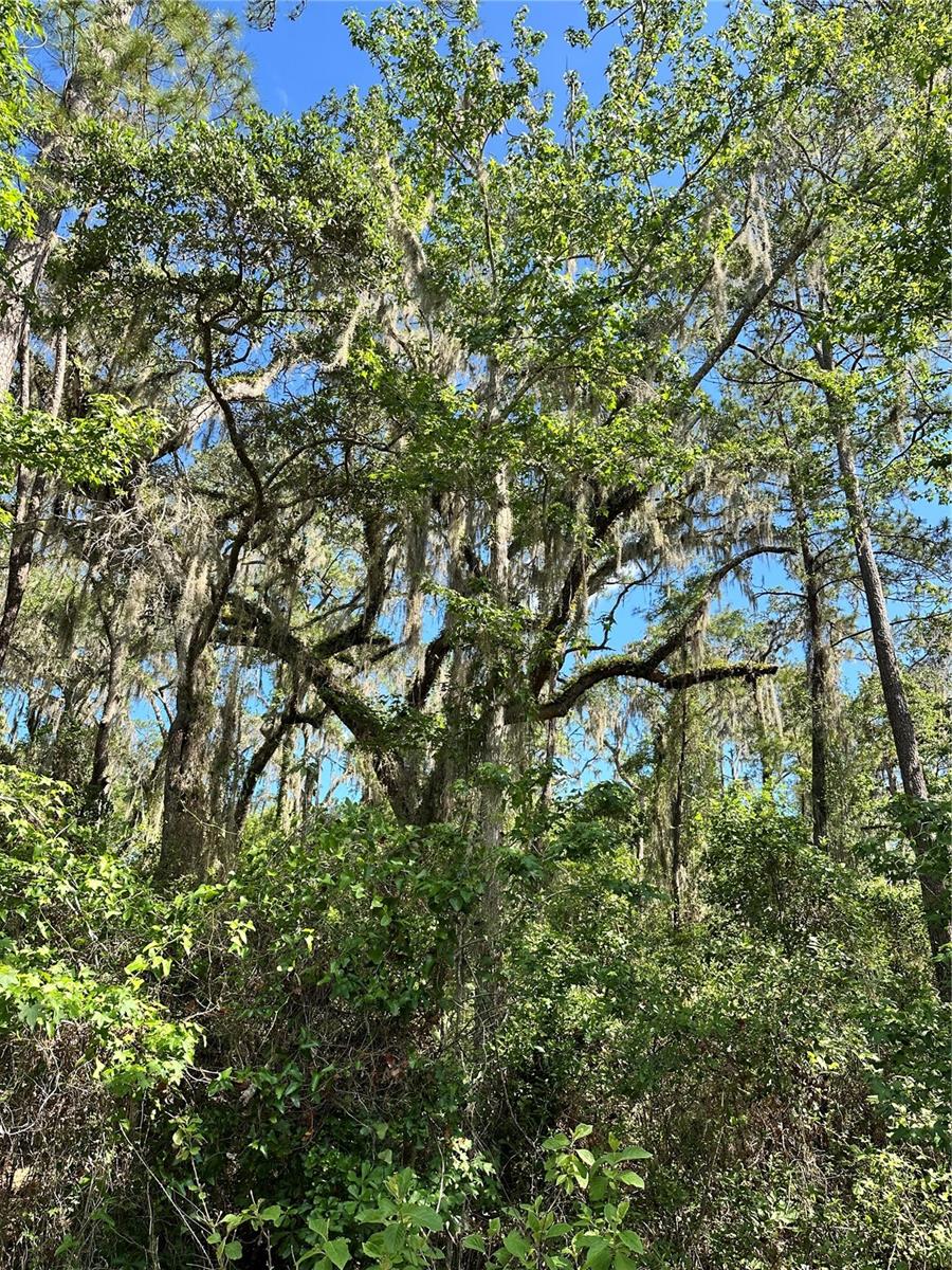 SKYVIEW CIR, BROOKSVILLE, FL, 34602