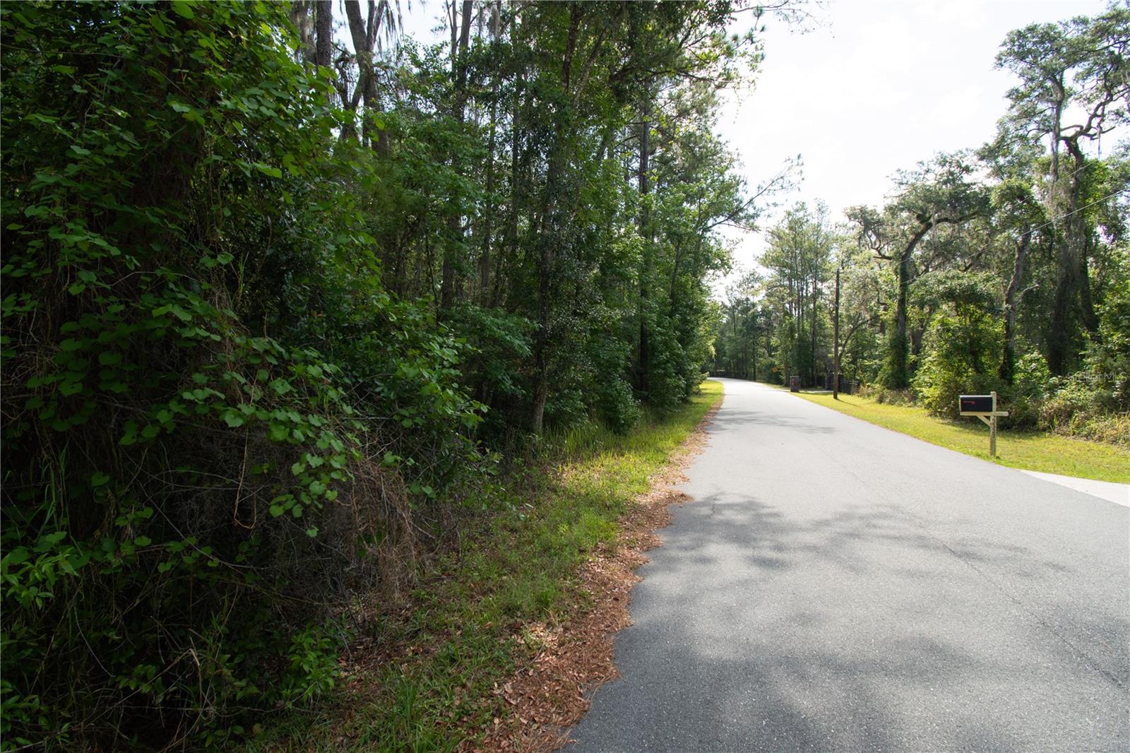 SKYVIEW CIR, BROOKSVILLE, FL, 34602