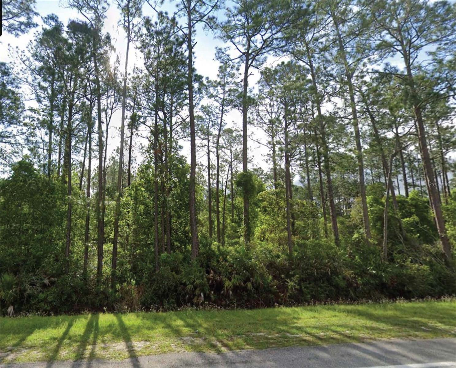 1501 S STATE ROAD 19, PALATKA, FL, 32177