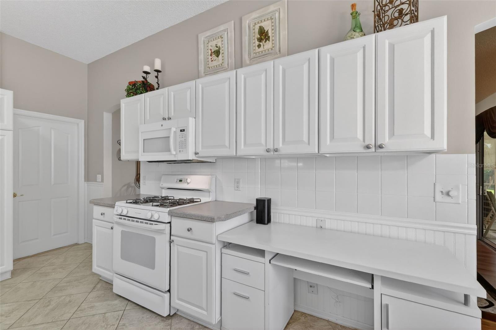 1428 CARRILLO ST, THE VILLAGES, FL, 32162