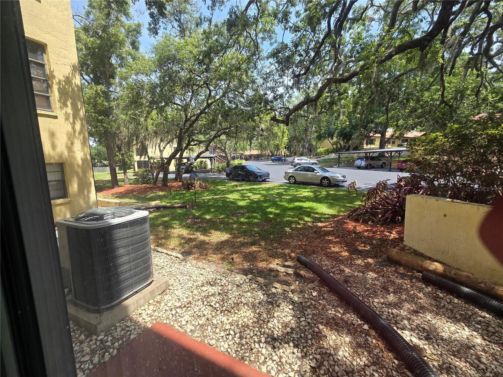 7741 FOREST TRL #3, PORT RICHEY, FL, 34668