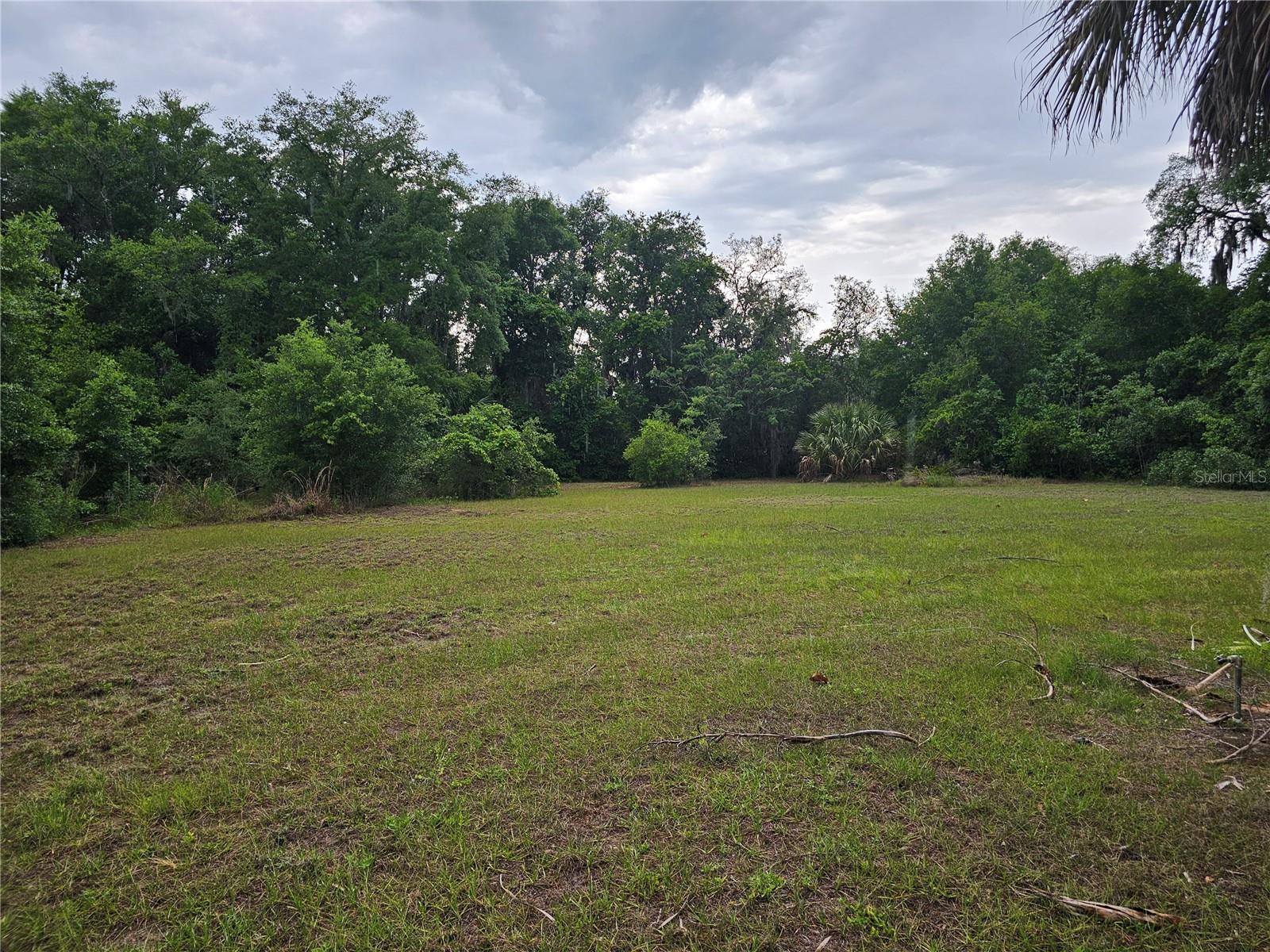 10679 GOOSE PRAIRIE RD, LEESBURG, FL, 34788