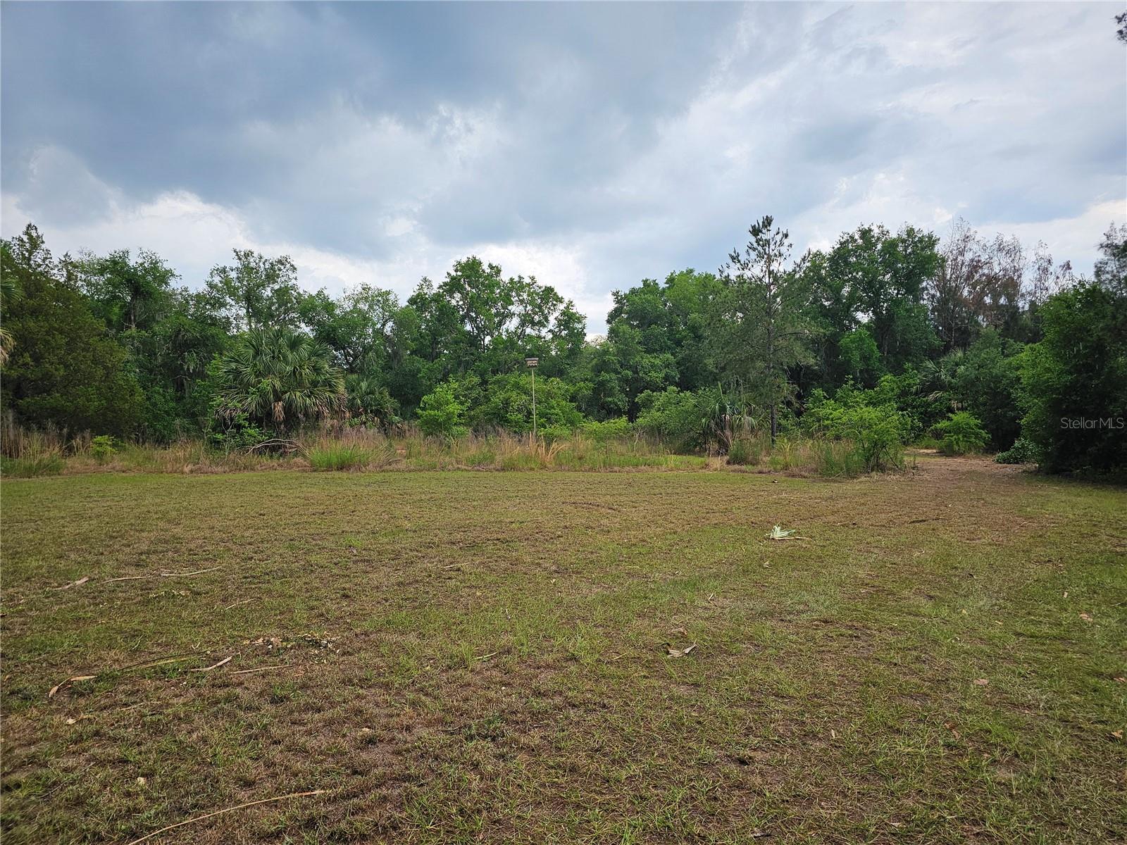 10679 GOOSE PRAIRIE RD, LEESBURG, FL, 34788