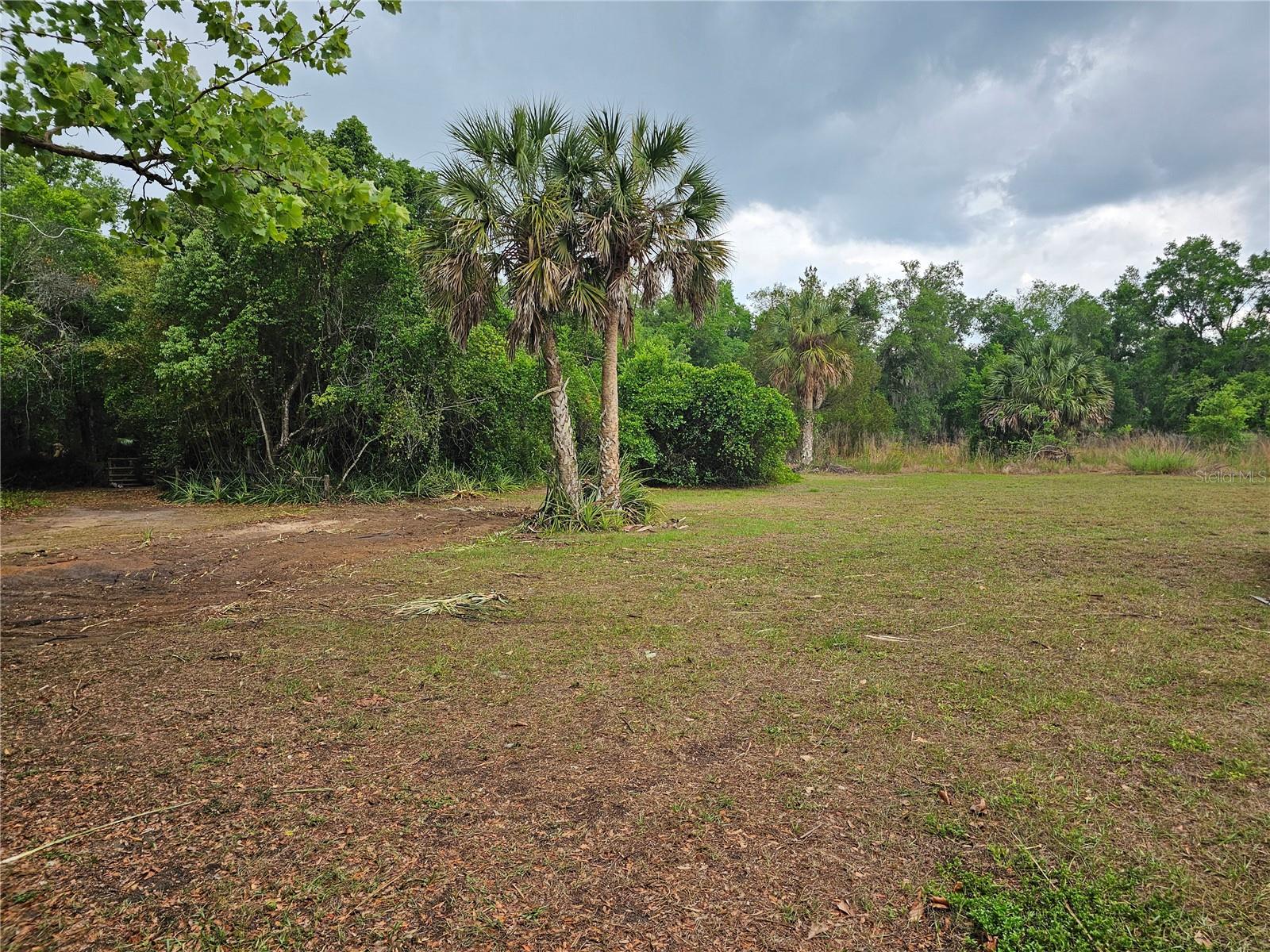 10679 GOOSE PRAIRIE RD, LEESBURG, FL, 34788