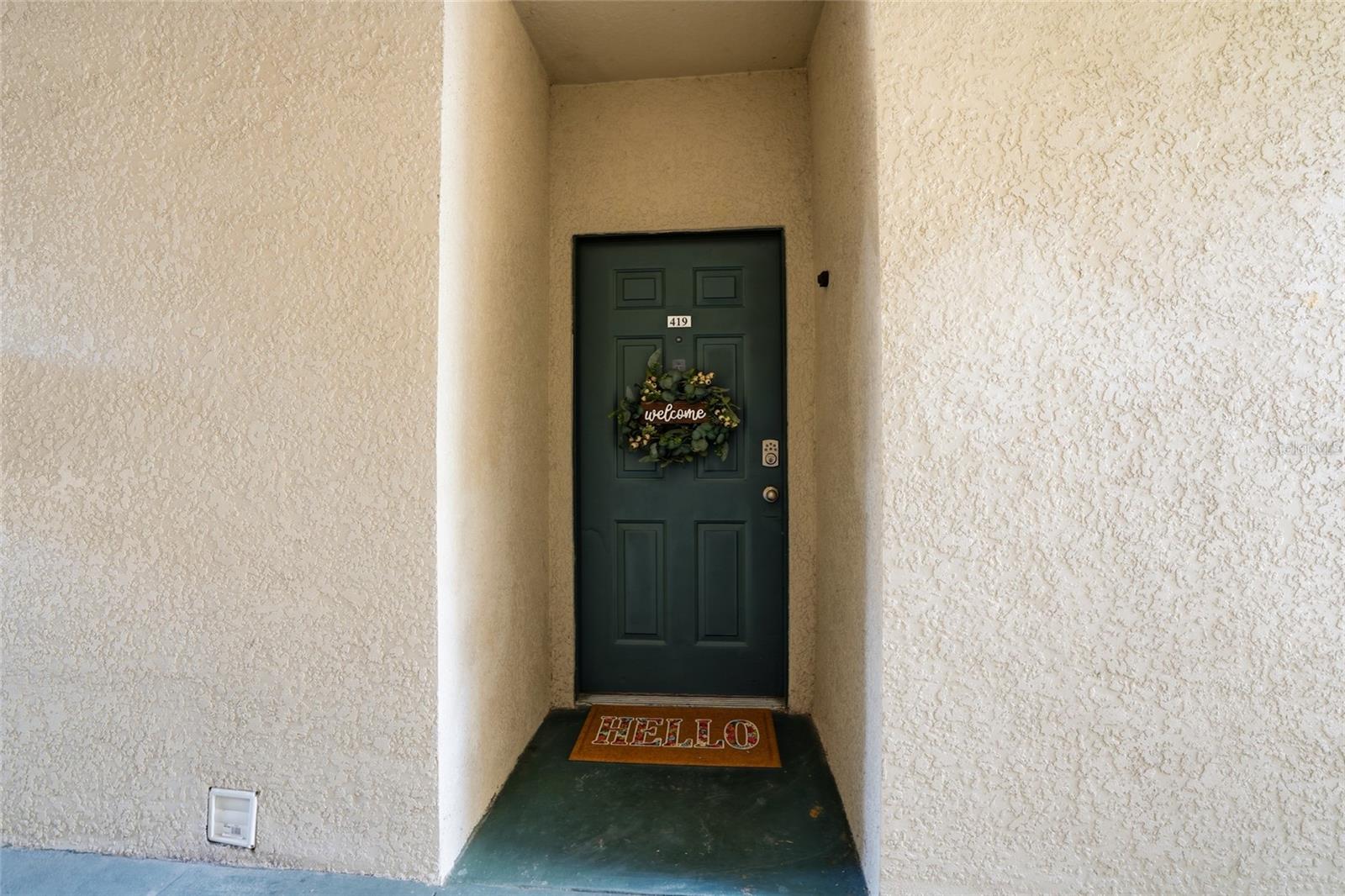 17101 CARRINGTON PARK DR #419, TAMPA, FL, 33647