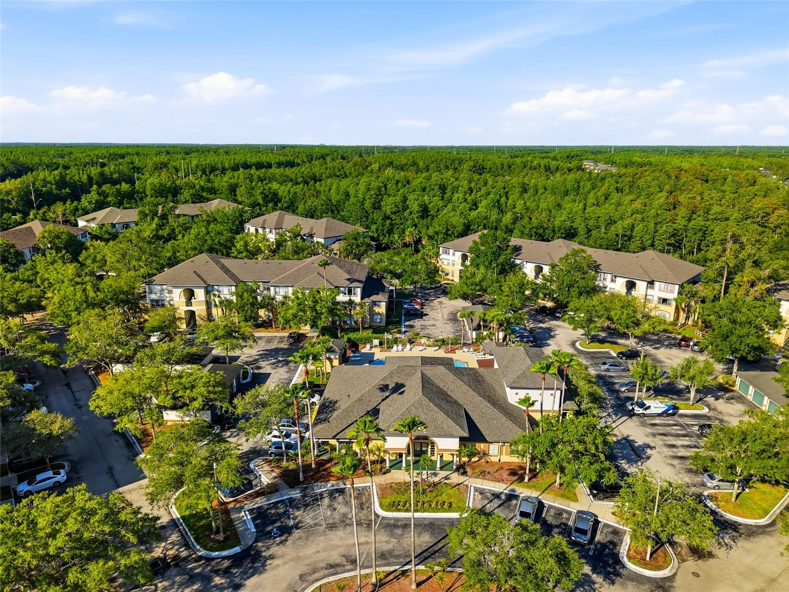 17101 CARRINGTON PARK DR #419, TAMPA, FL, 33647