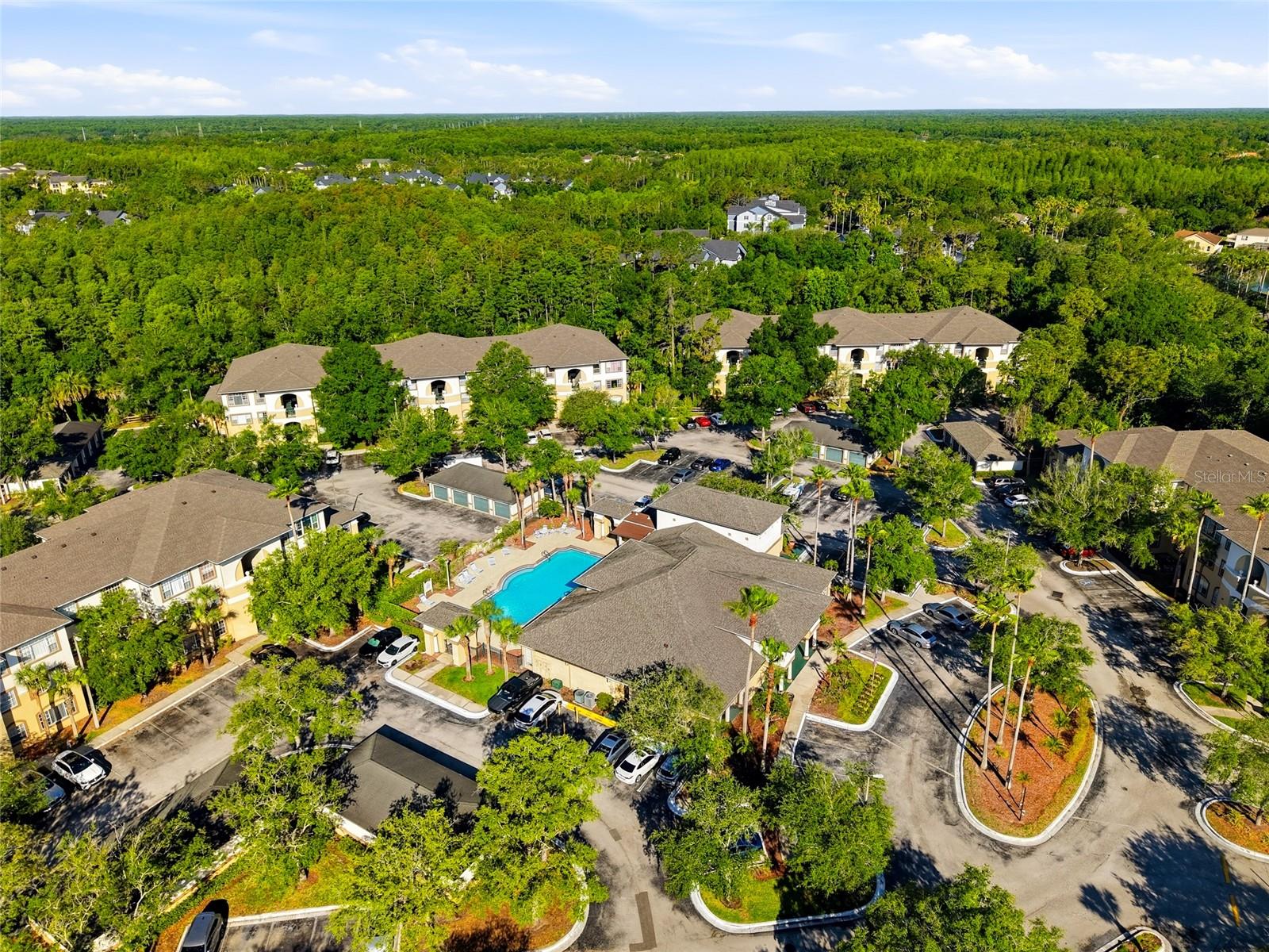 17101 CARRINGTON PARK DR #419, TAMPA, FL, 33647