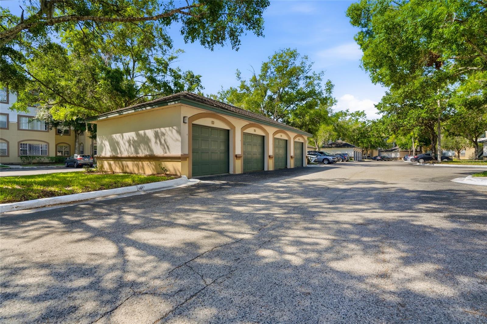 17101 CARRINGTON PARK DR #419, TAMPA, FL, 33647