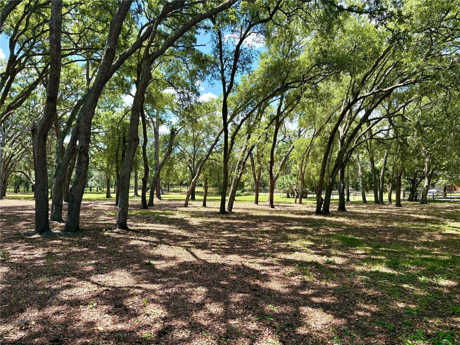 390 FOOTHILL FARMS RD, ORANGE CITY, FL, 32763