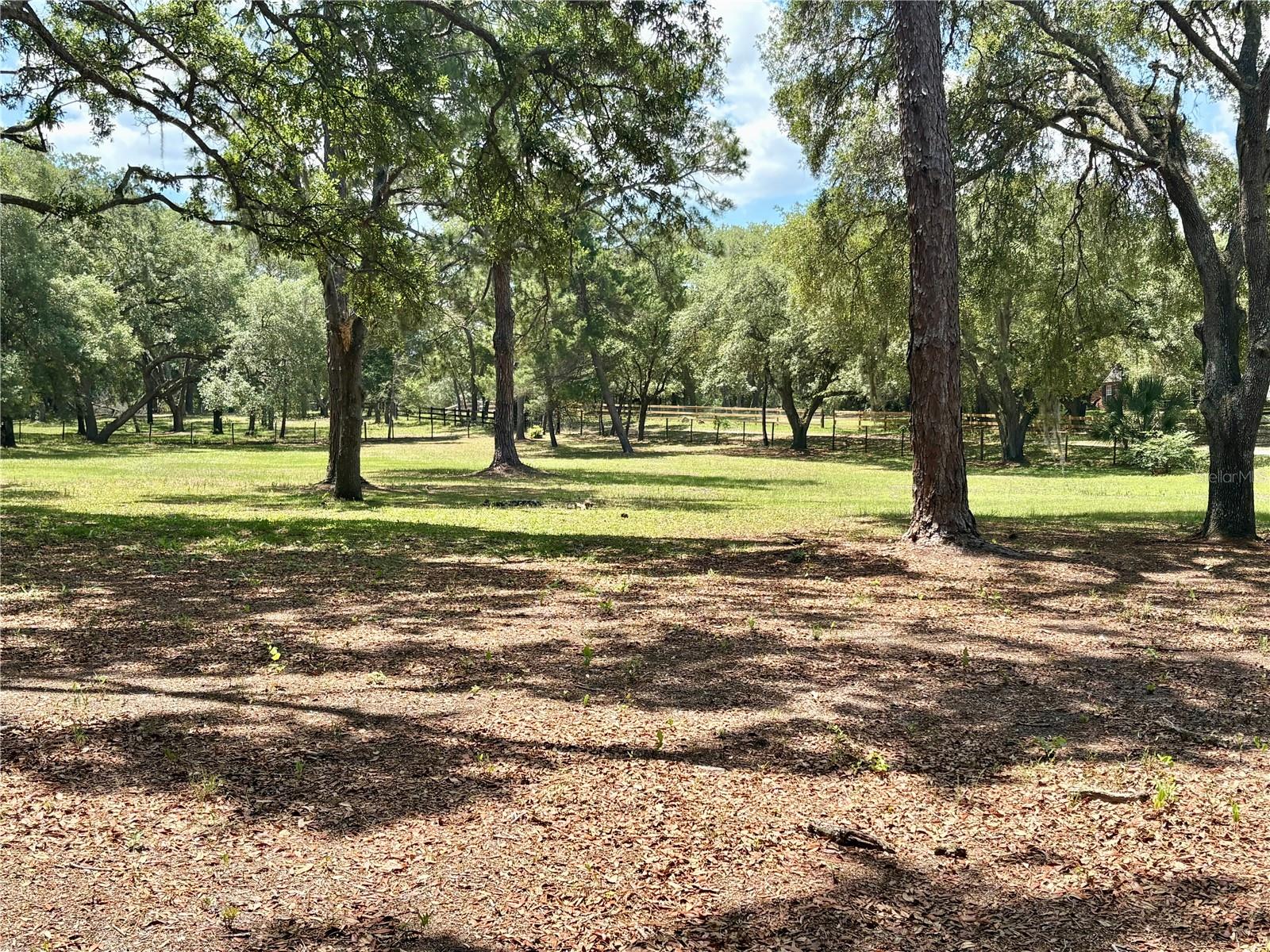 390 FOOTHILL FARMS RD, ORANGE CITY, FL, 32763