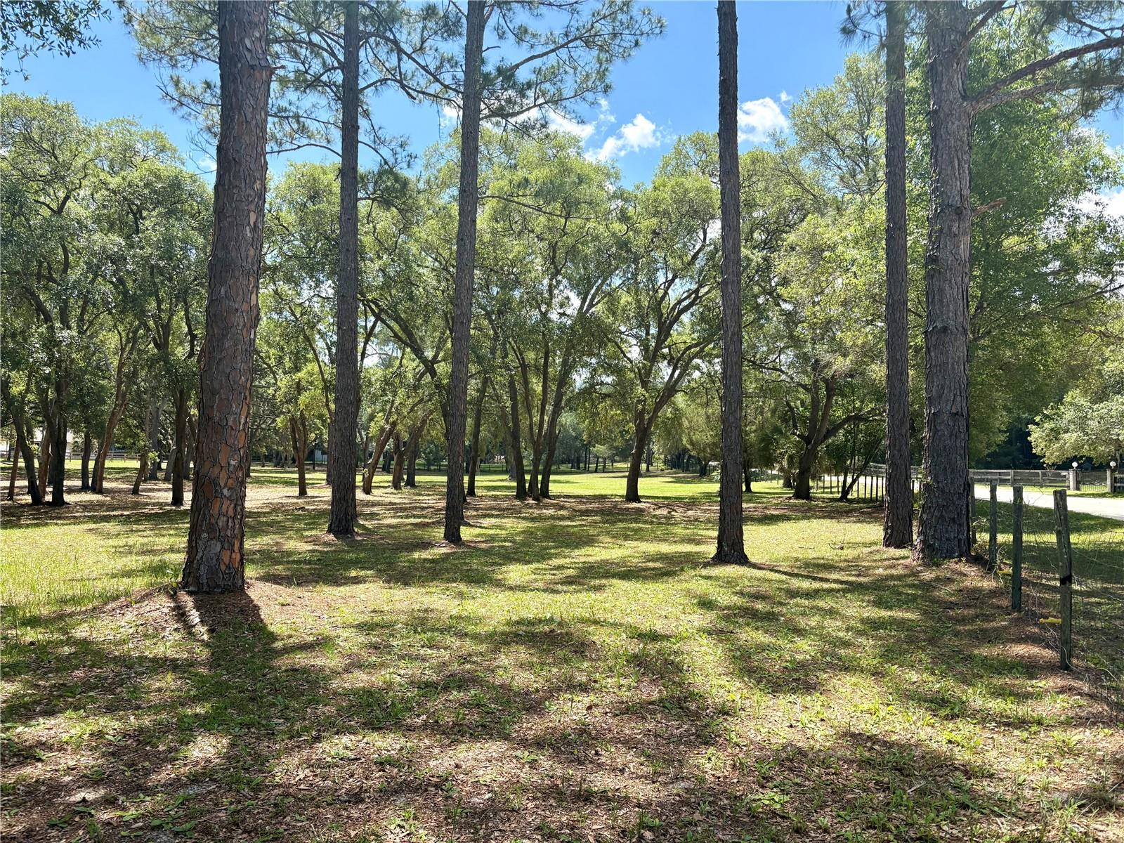 390 FOOTHILL FARMS RD, ORANGE CITY, FL, 32763