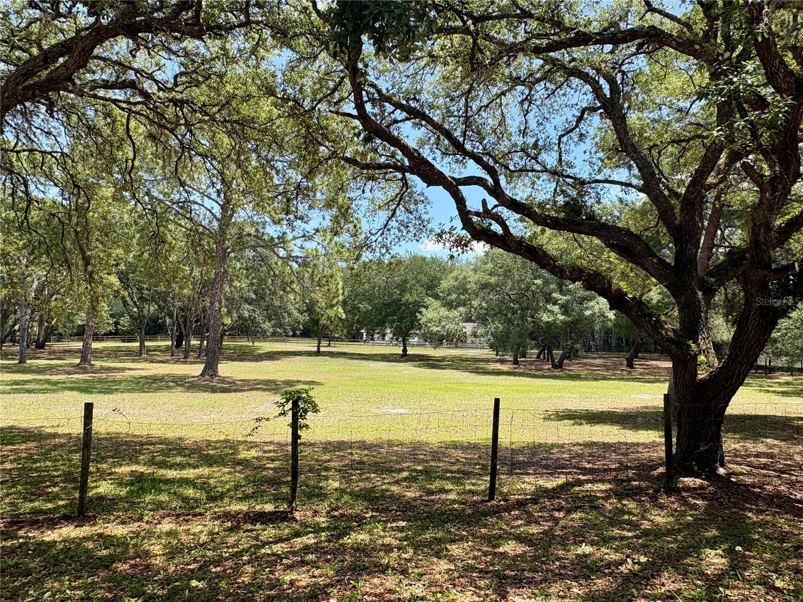 390 FOOTHILL FARMS RD, ORANGE CITY, FL, 32763