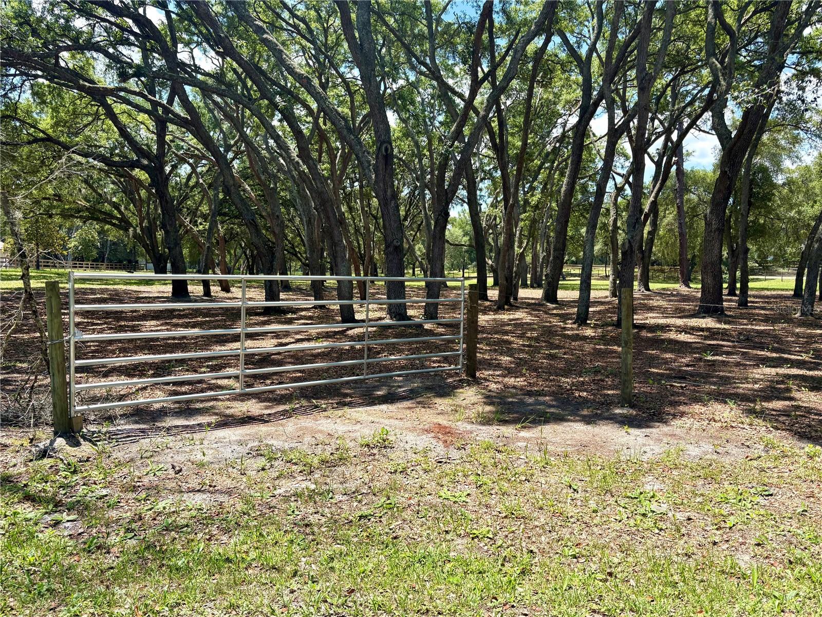 390 FOOTHILL FARMS RD, ORANGE CITY, FL, 32763