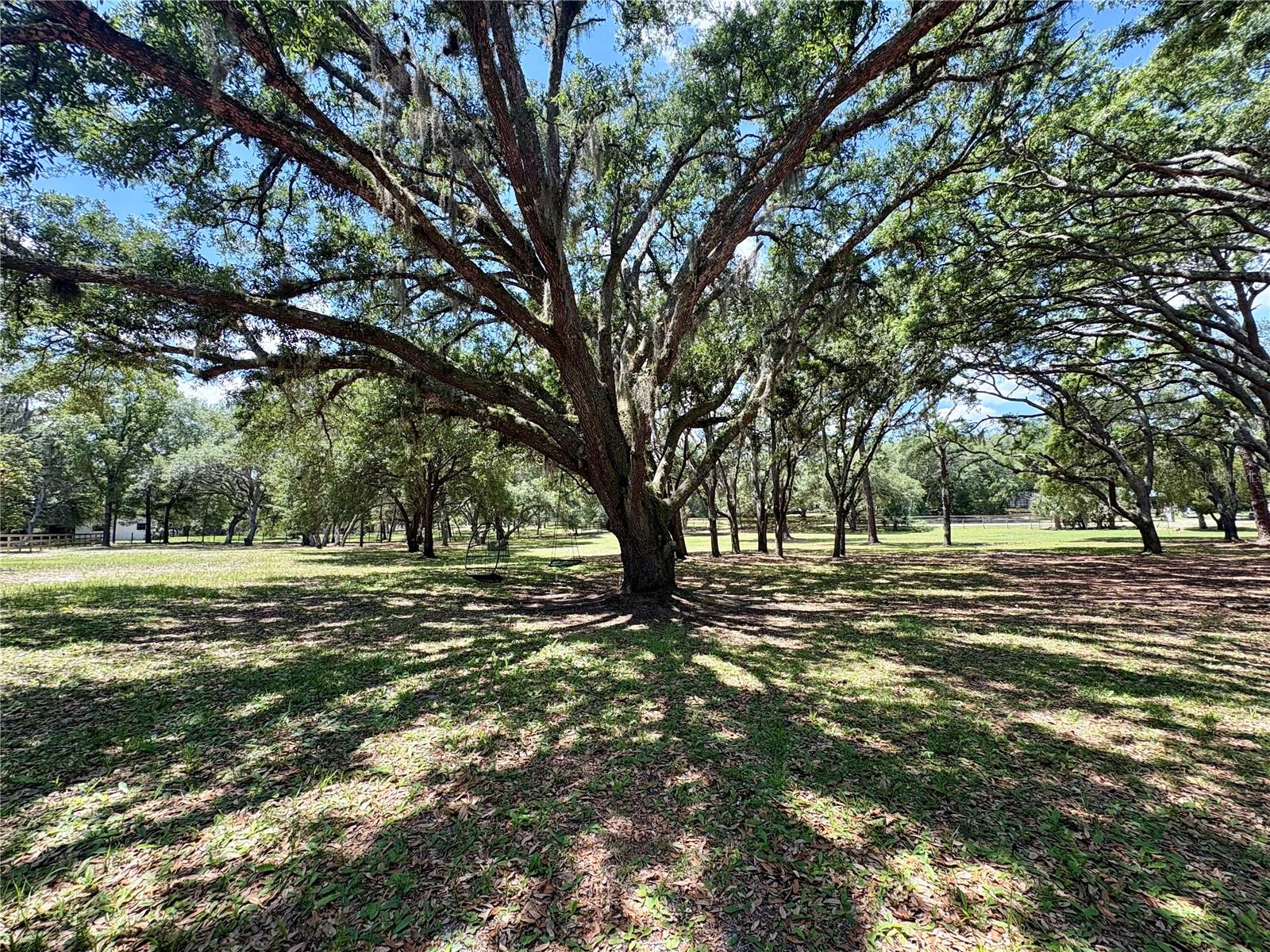 390 FOOTHILL FARMS RD, ORANGE CITY, FL, 32763