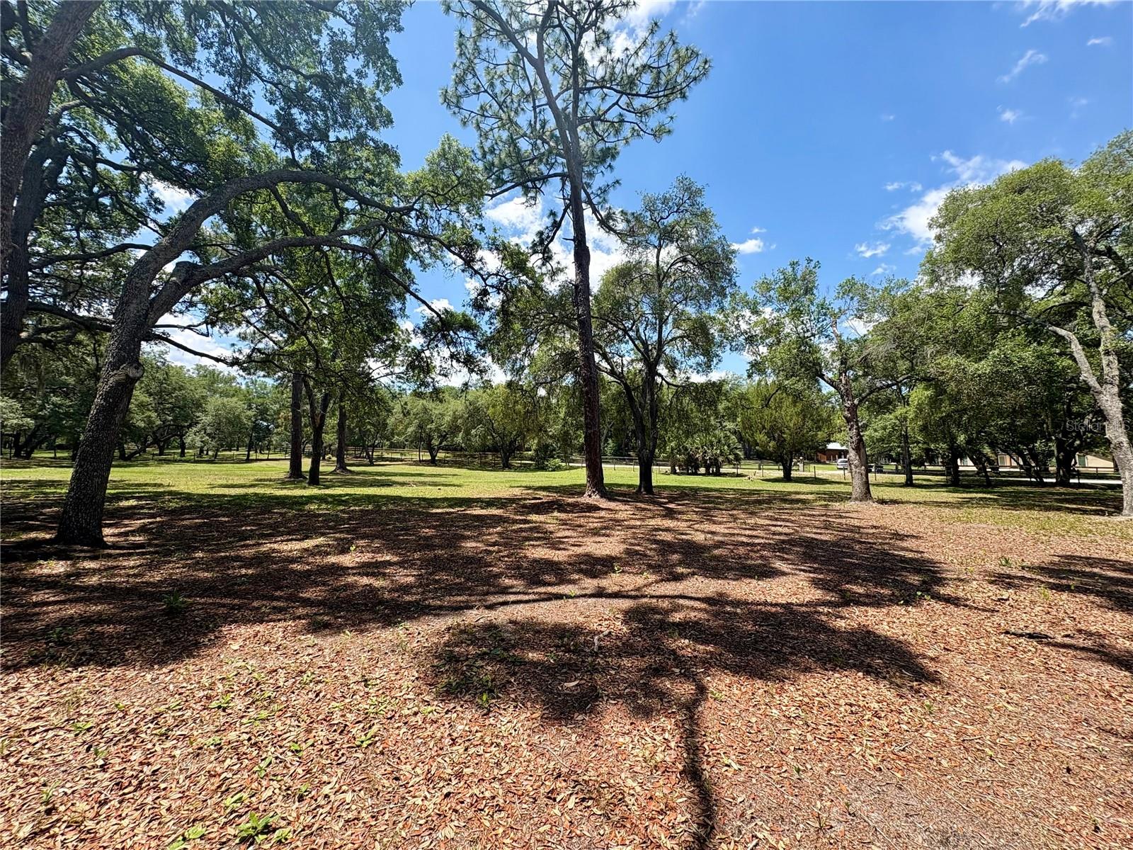 390 FOOTHILL FARMS RD, ORANGE CITY, FL, 32763