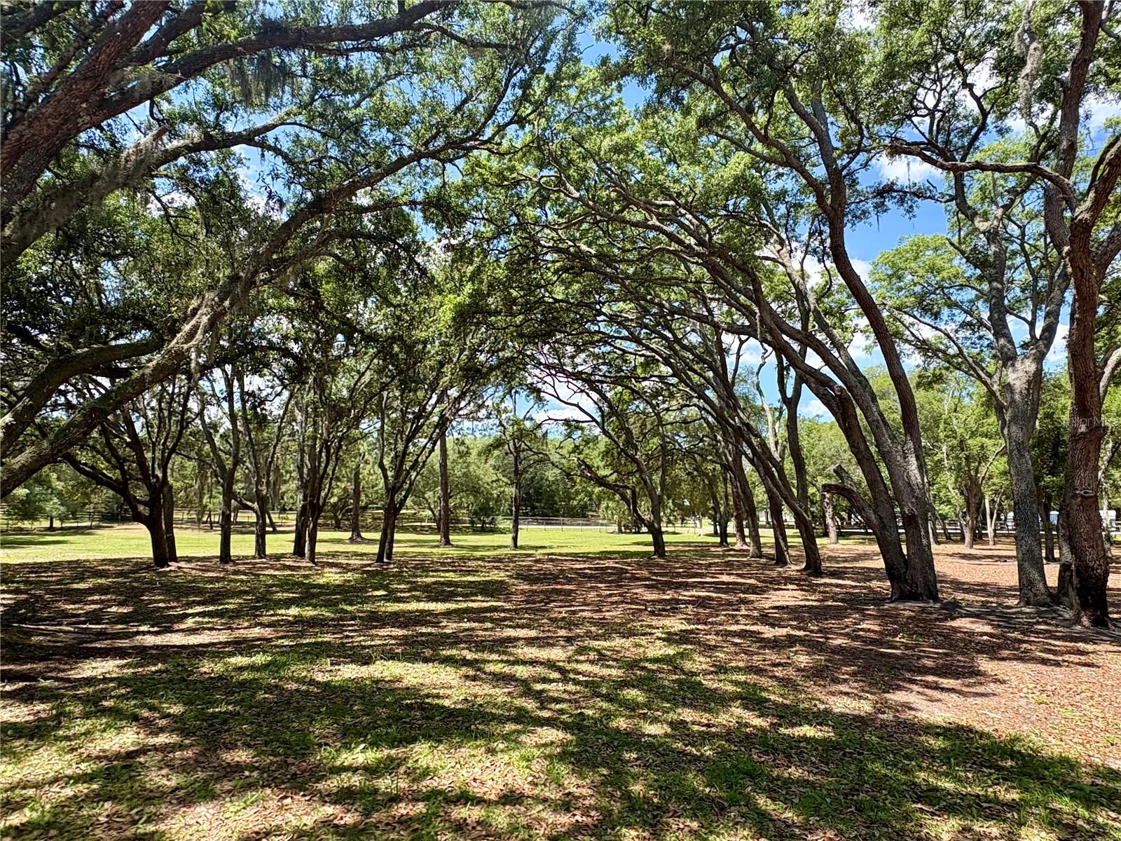 390 FOOTHILL FARMS RD, ORANGE CITY, FL, 32763