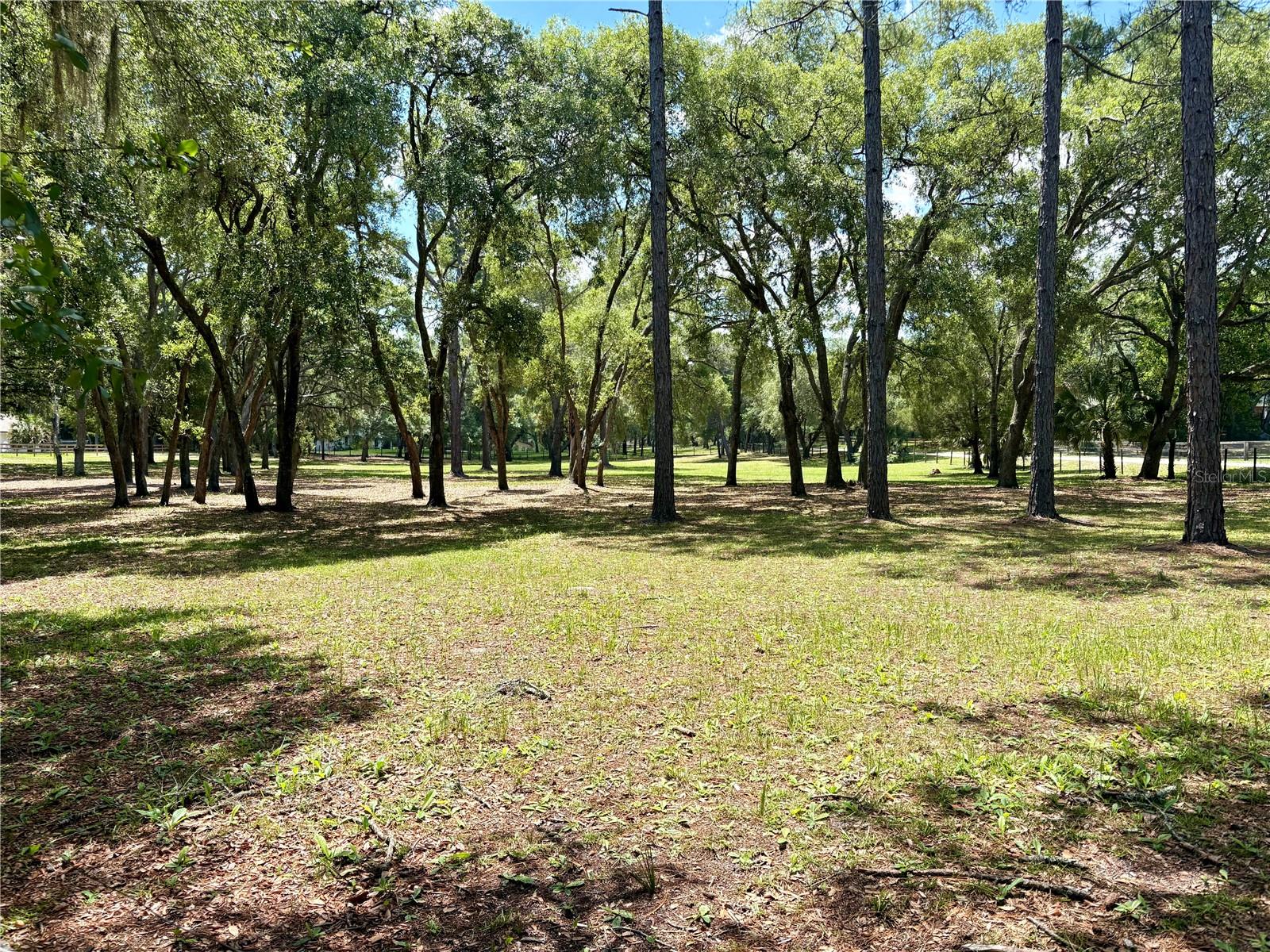 390 FOOTHILL FARMS RD, ORANGE CITY, FL, 32763