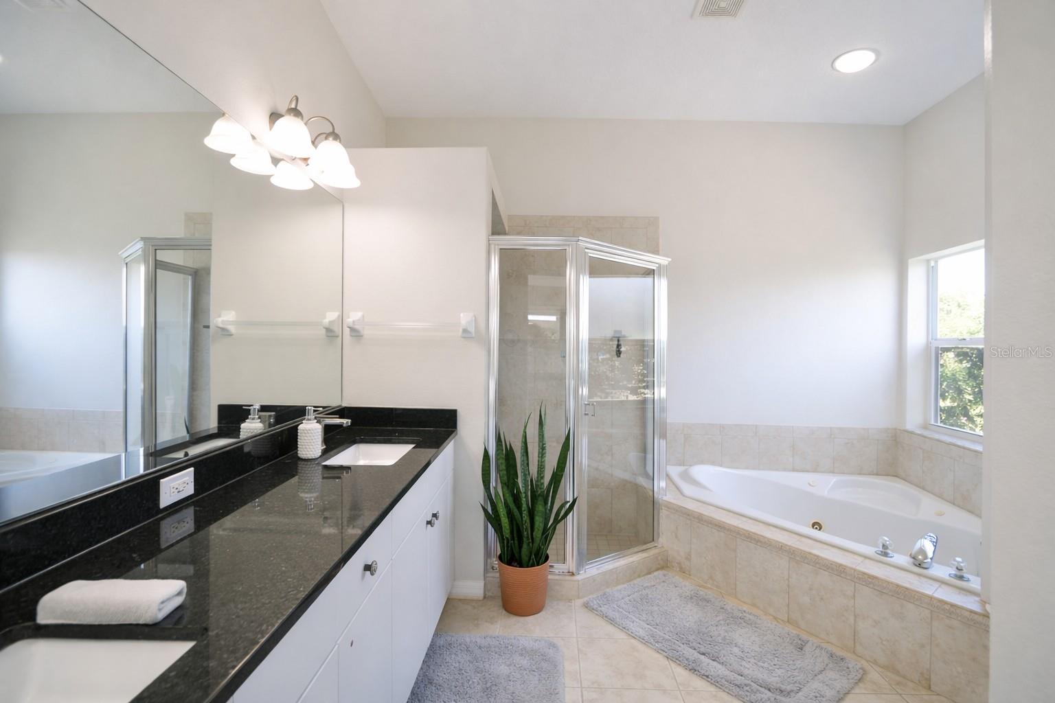 2009 MEADOW RUE CT, TRINITY, FL, 34655