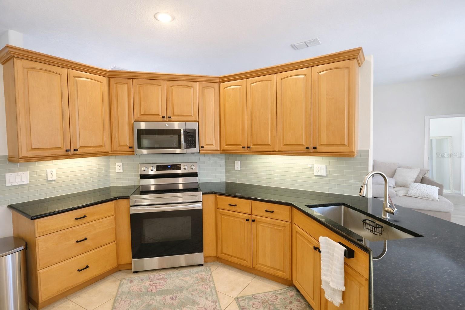 2009 MEADOW RUE CT, TRINITY, FL, 34655