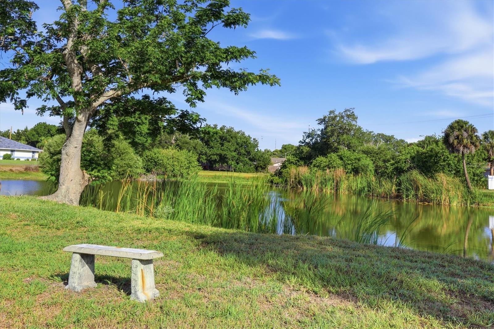 255 RIGEL RD, VENICE, FL, 34293