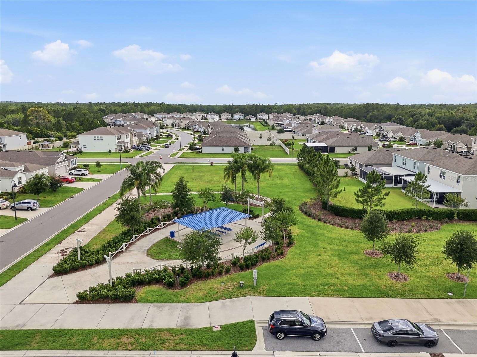 3228 LIVING CORAL DR, ODESSA, FL, 33556