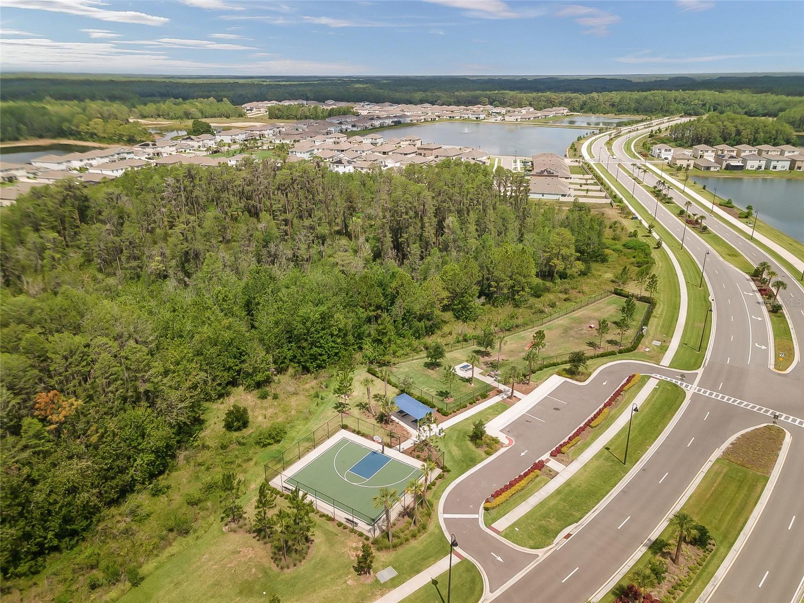 3228 LIVING CORAL DR, ODESSA, FL, 33556