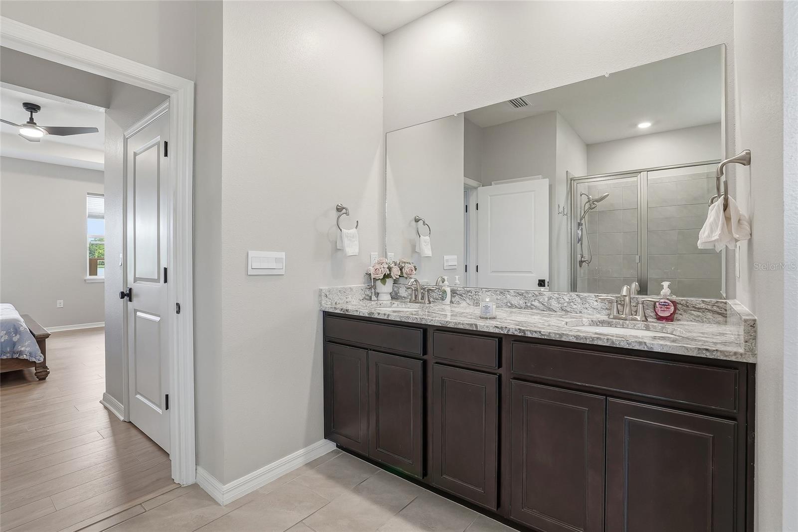 3228 LIVING CORAL DR, ODESSA, FL, 33556