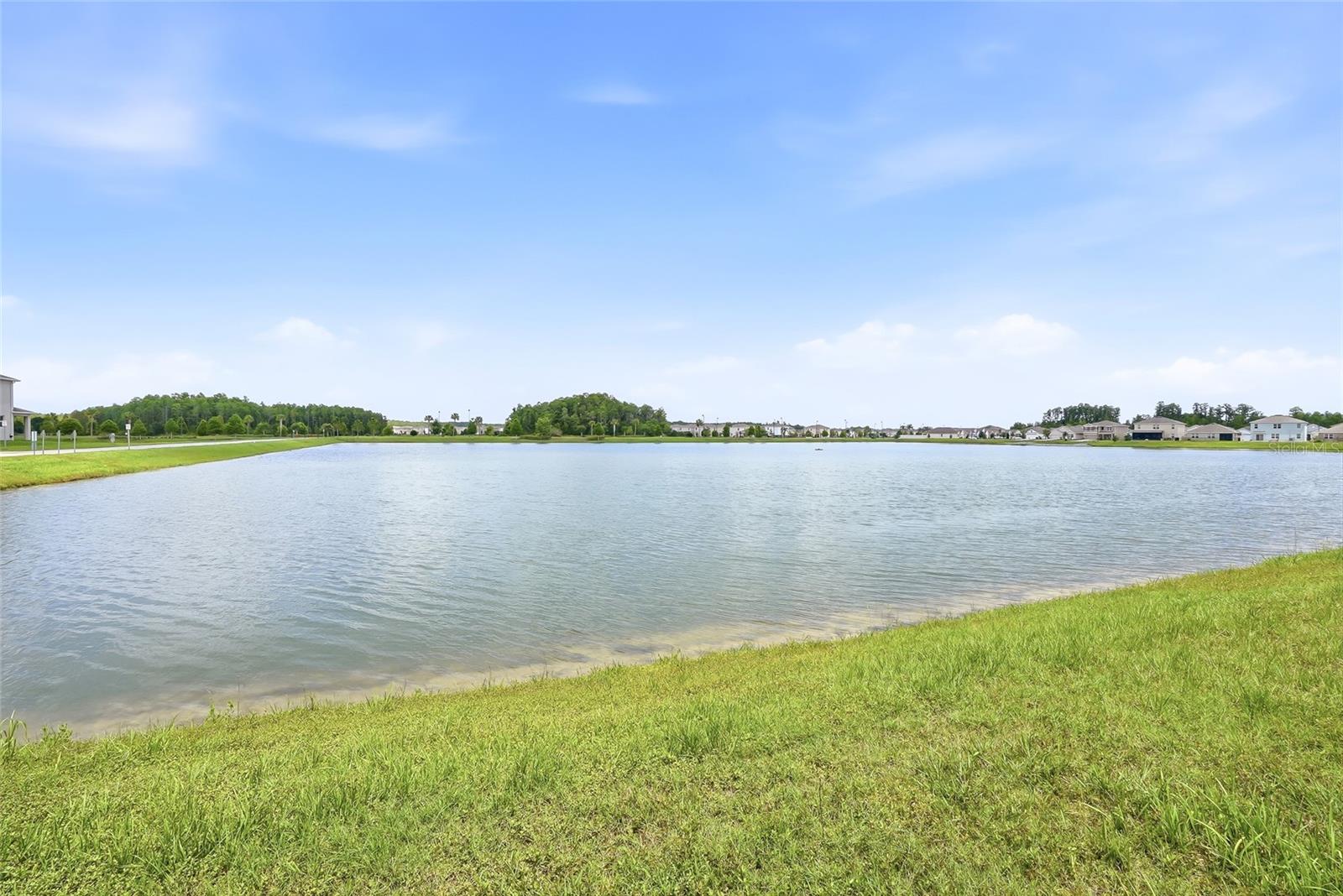 3228 LIVING CORAL DR, ODESSA, FL, 33556