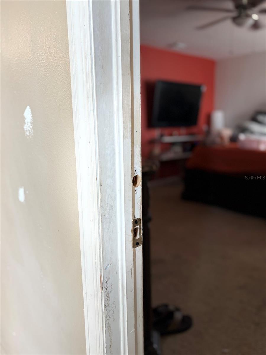 14452 SCOTTBURGH GLEN DR, WIMAUMA, FL, 33598
