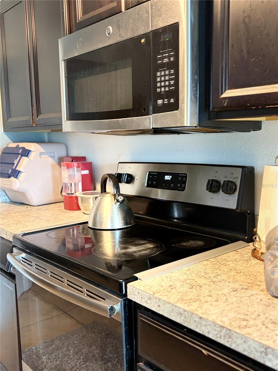 14452 SCOTTBURGH GLEN DR, WIMAUMA, FL, 33598