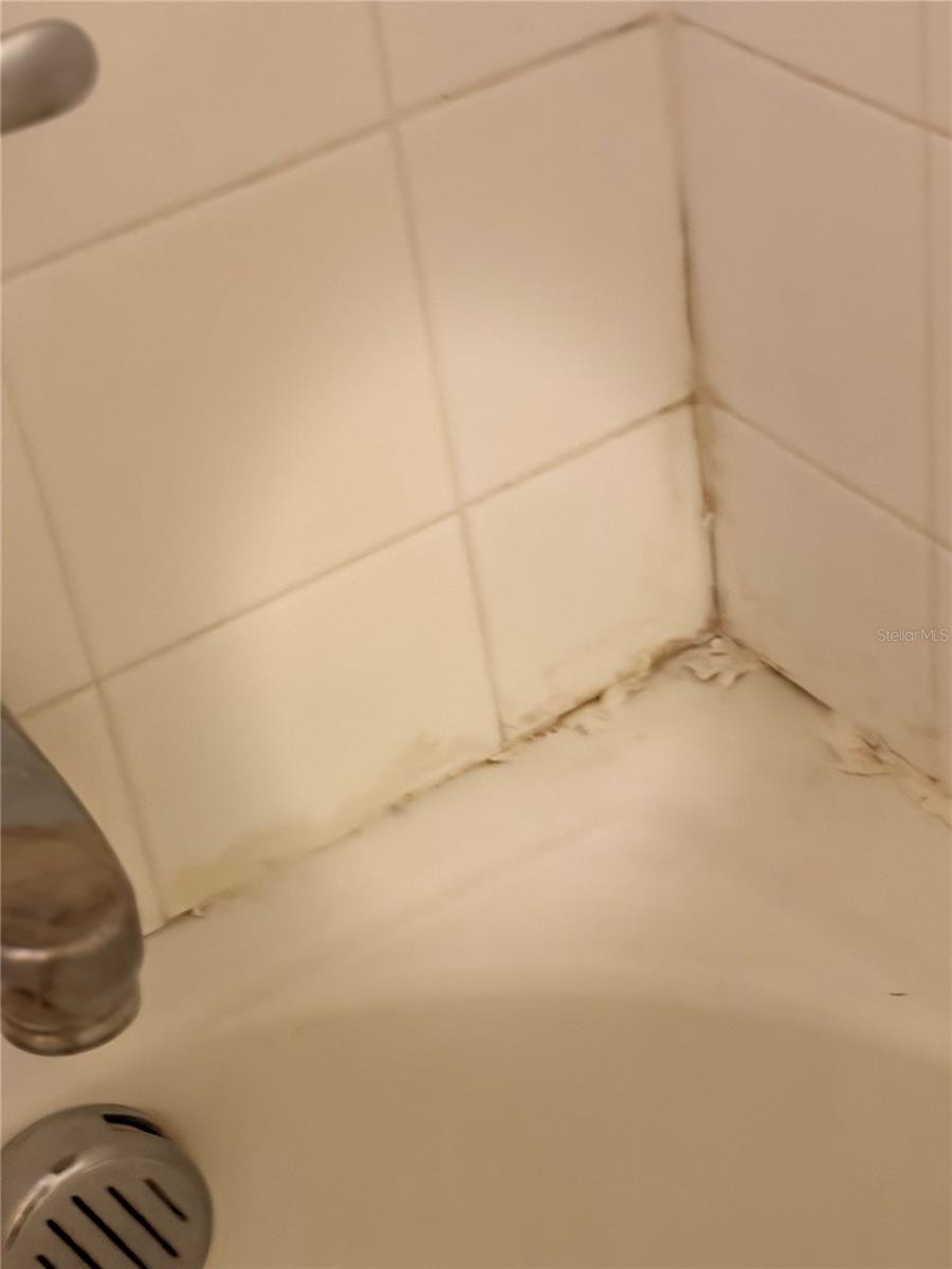 14452 SCOTTBURGH GLEN DR, WIMAUMA, FL, 33598