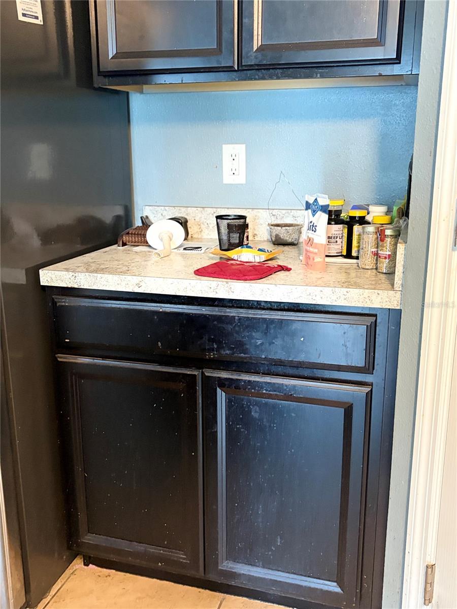 14452 SCOTTBURGH GLEN DR, WIMAUMA, FL, 33598