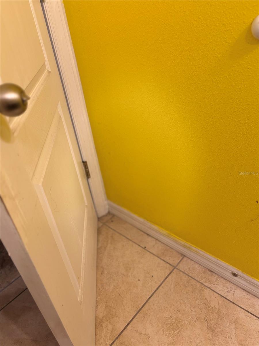 14452 SCOTTBURGH GLEN DR, WIMAUMA, FL, 33598