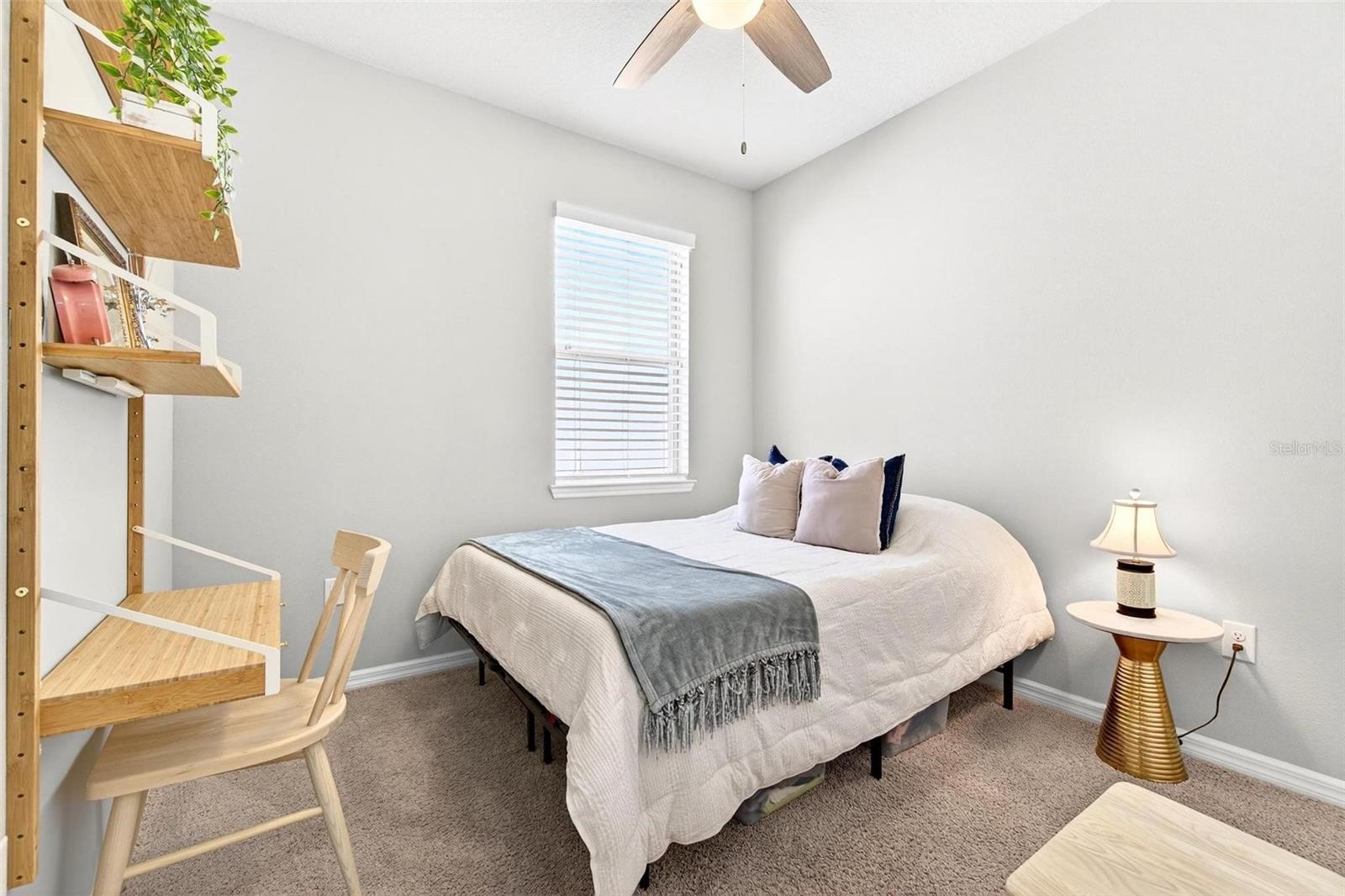 18744 BIRCHWOOD GROVES DR, LUTZ, FL, 33558