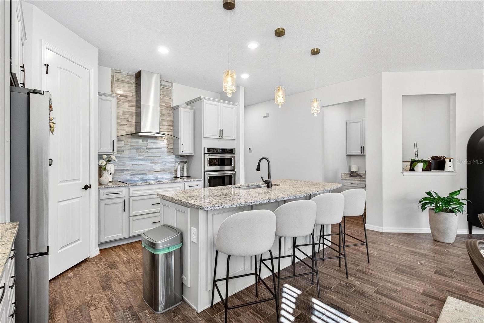 18744 BIRCHWOOD GROVES DR, LUTZ, FL, 33558