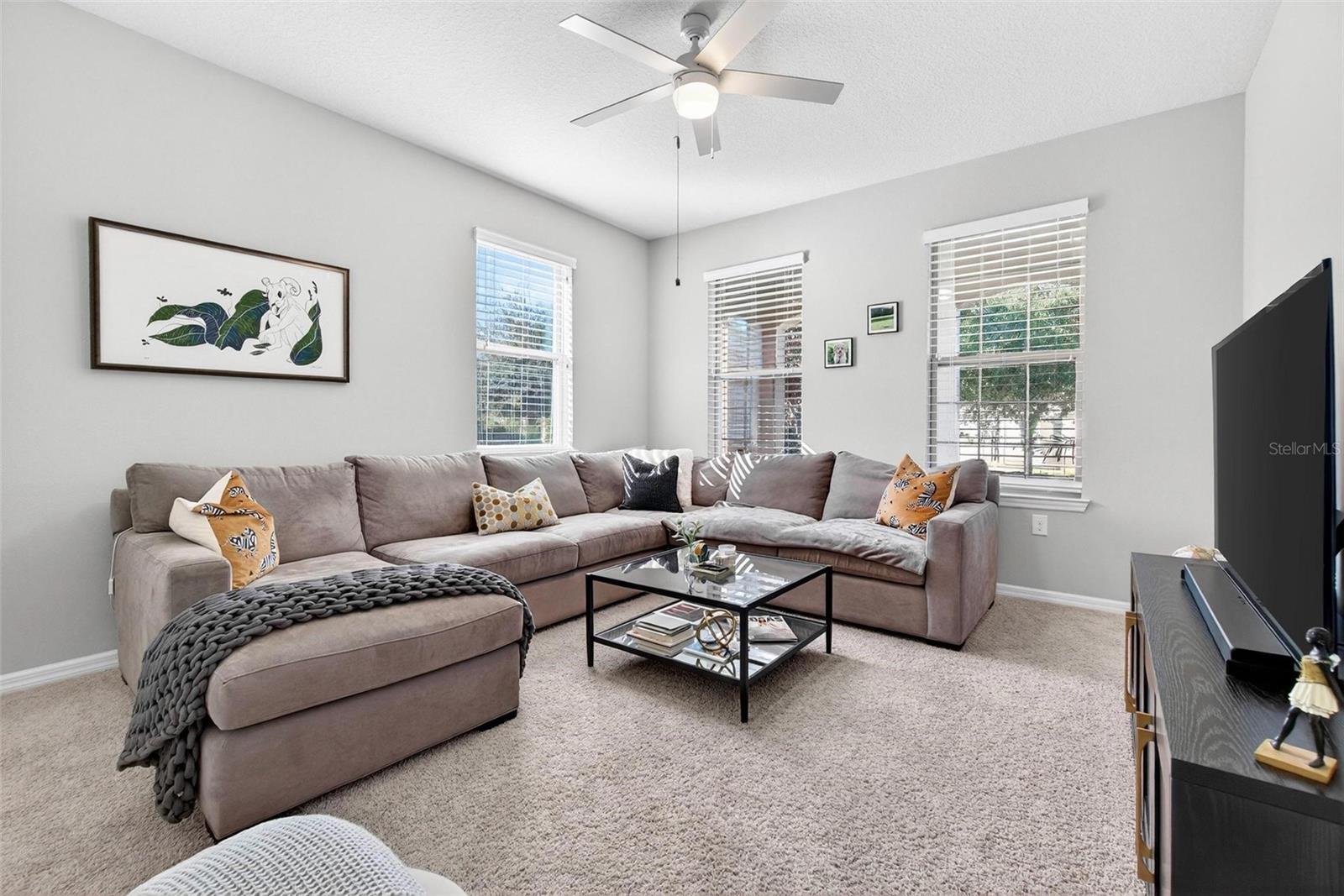 18744 BIRCHWOOD GROVES DR, LUTZ, FL, 33558