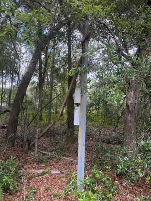 288 MCMILLON DR, ORANGE CITY, FL, 32763
