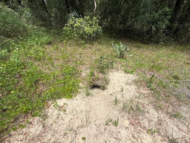 288 MCMILLON DR, ORANGE CITY, FL, 32763