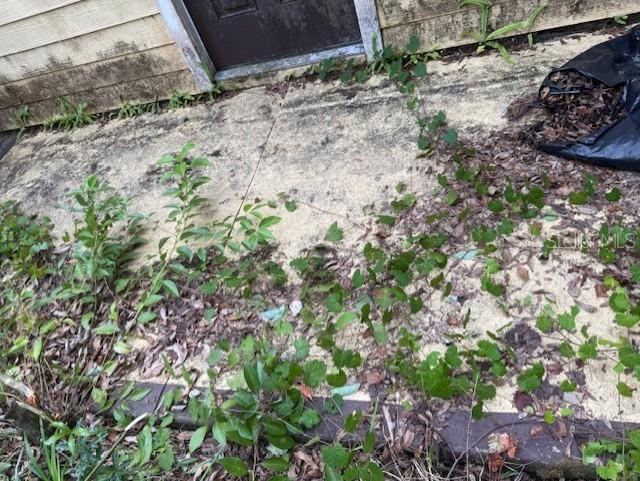 288 MCMILLON DR, ORANGE CITY, FL, 32763