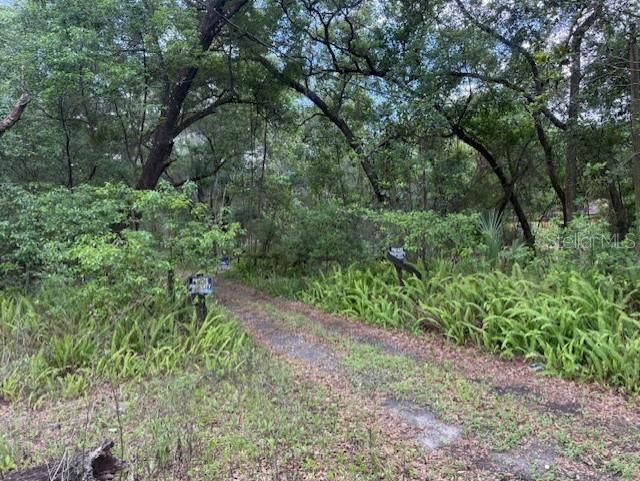 288 MCMILLON DR, ORANGE CITY, FL, 32763