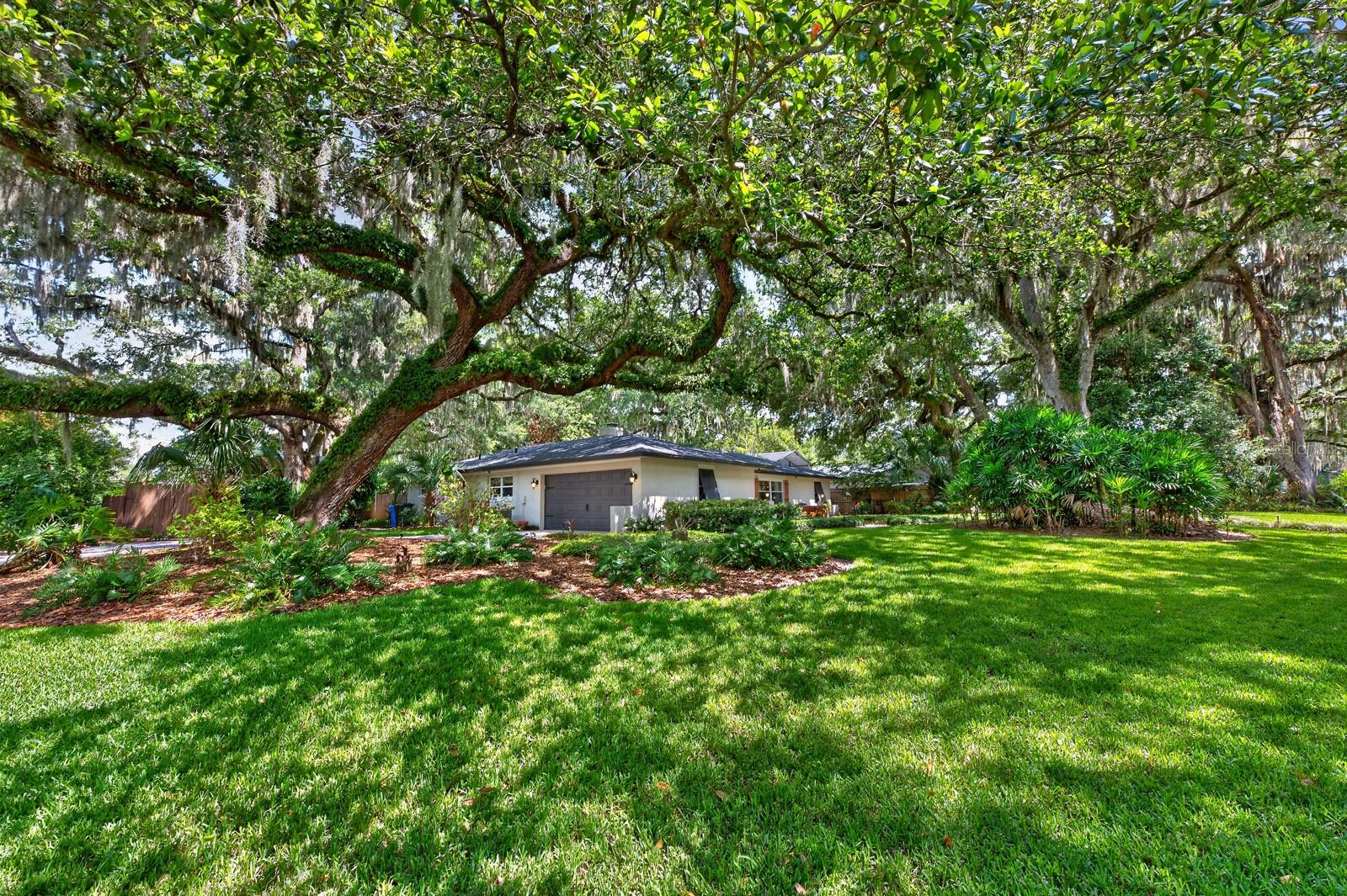 845 TEMPLE TER, OVIEDO, FL, 32765