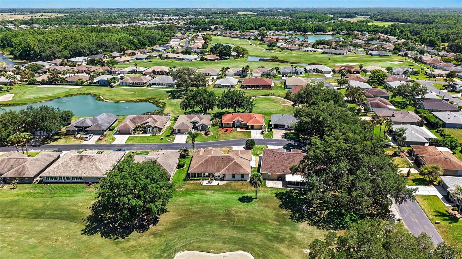 11132 MOSHIE LN, SAN ANTONIO, FL, 33576