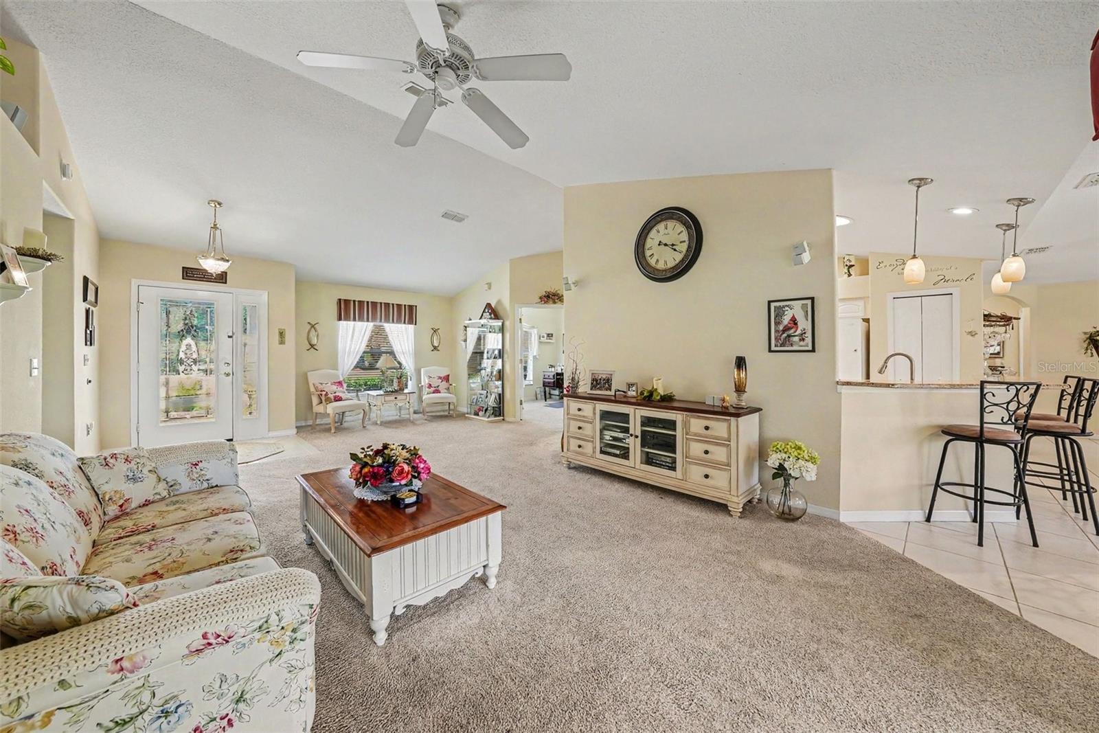 11132 MOSHIE LN, SAN ANTONIO, FL, 33576