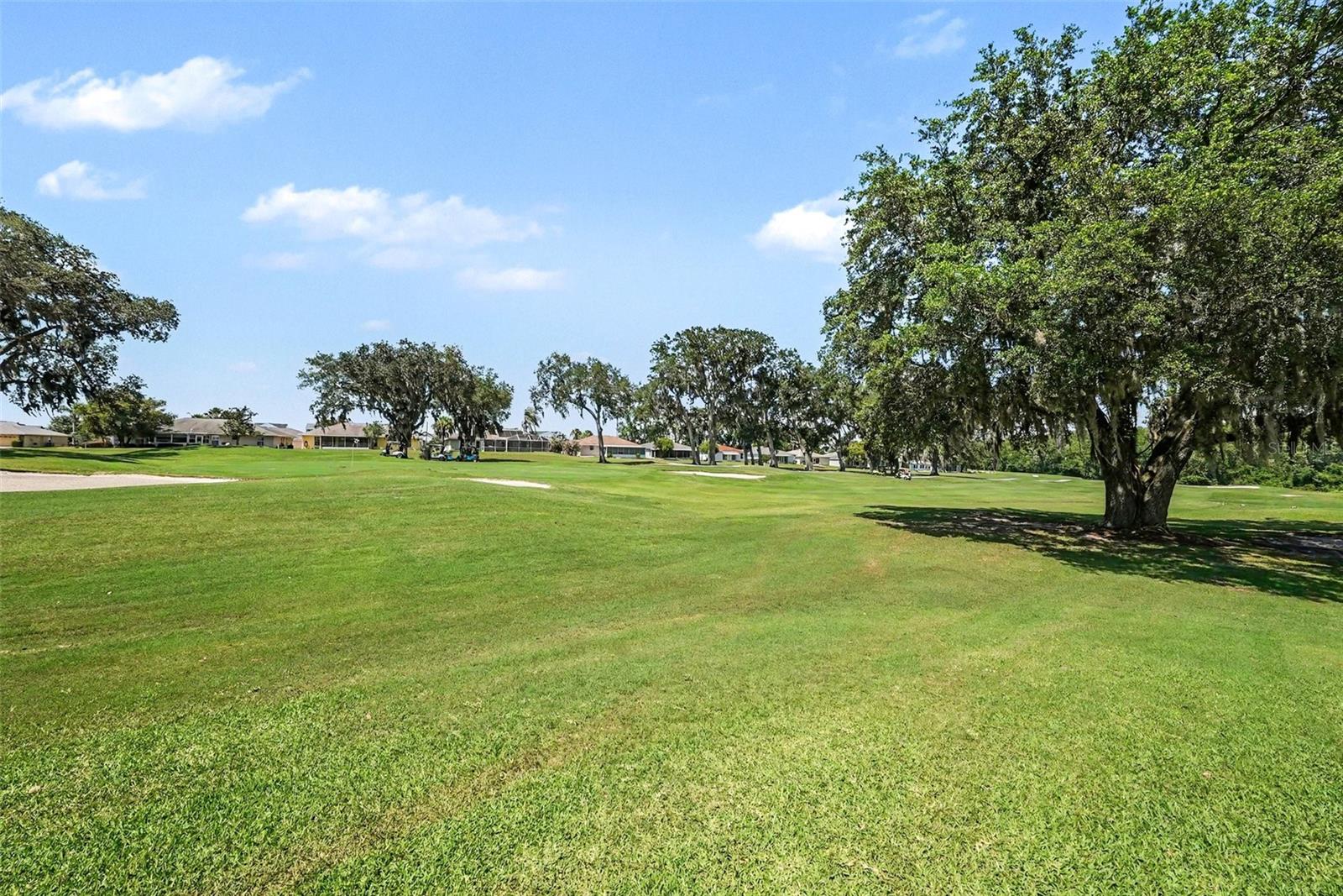 11132 MOSHIE LN, SAN ANTONIO, FL, 33576