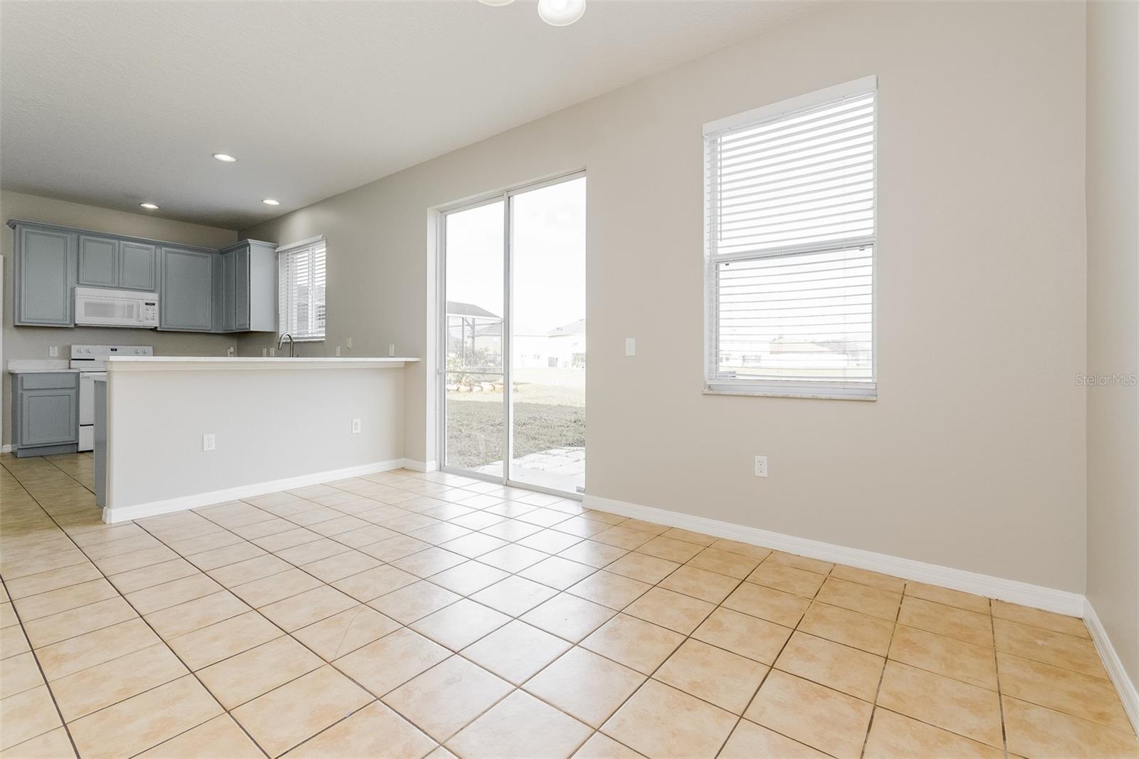 513 BERRY JAMES CT, KISSIMMEE, FL, 34744